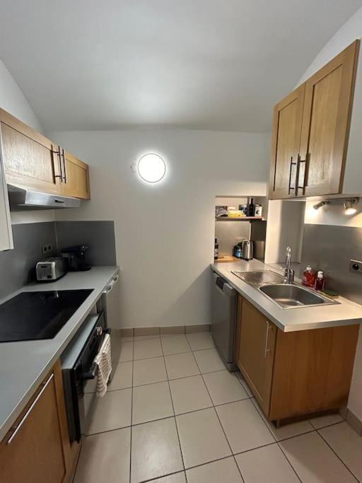 Apartament Duplex Avec Terrasse En Hypercentre De Grenoble Zewnętrze zdjęcie