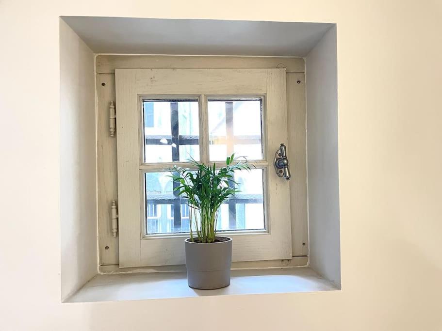 Apartament Duplex Avec Terrasse En Hypercentre De Grenoble Zewnętrze zdjęcie