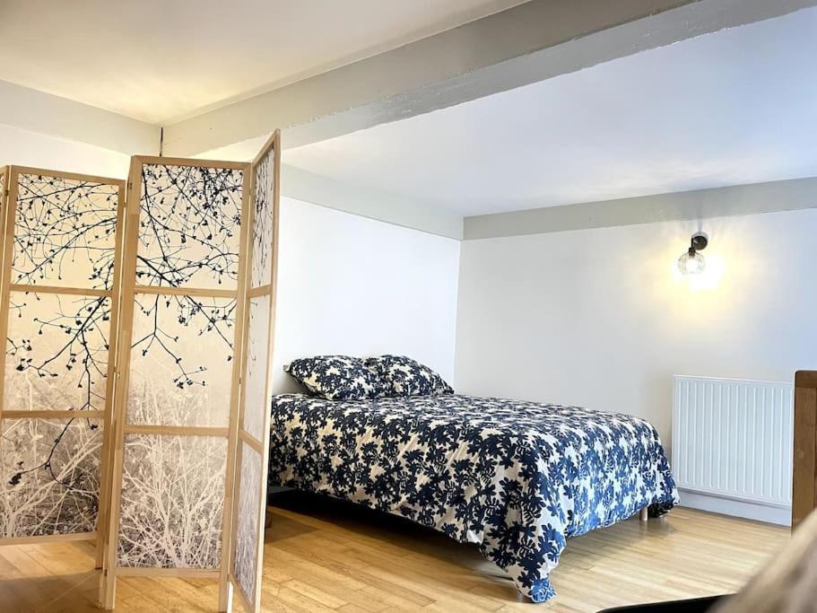 Apartament Duplex Avec Terrasse En Hypercentre De Grenoble Zewnętrze zdjęcie