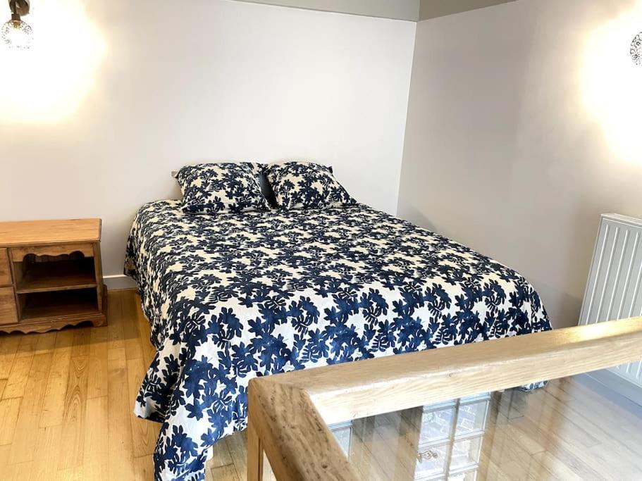 Apartament Duplex Avec Terrasse En Hypercentre De Grenoble Zewnętrze zdjęcie