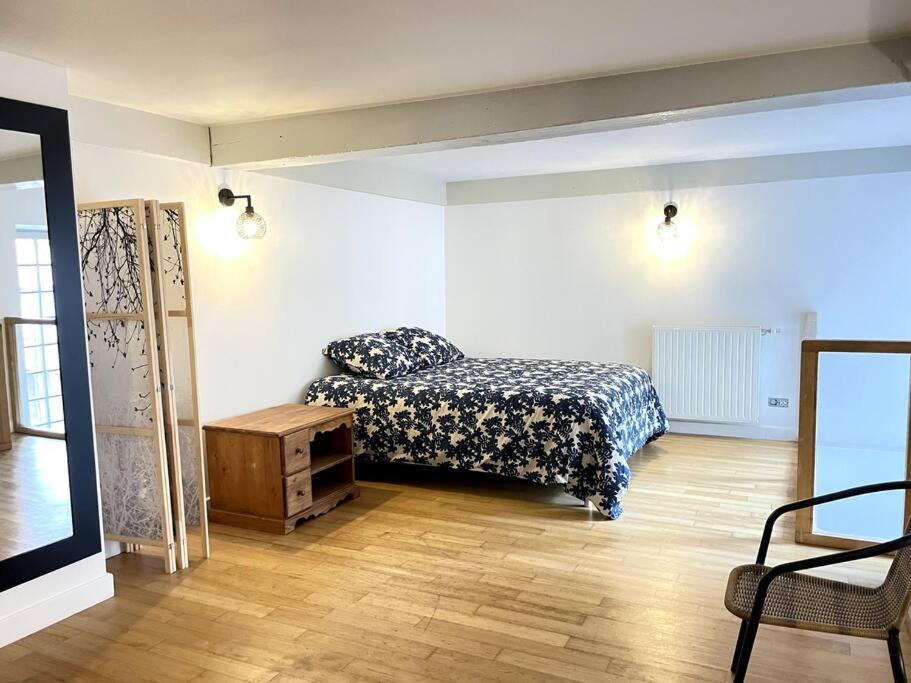 Apartament Duplex Avec Terrasse En Hypercentre De Grenoble Zewnętrze zdjęcie